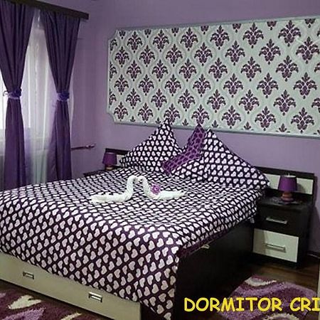 Apartmán Garsoniera Cristina Băile Felix Exteriér fotografie