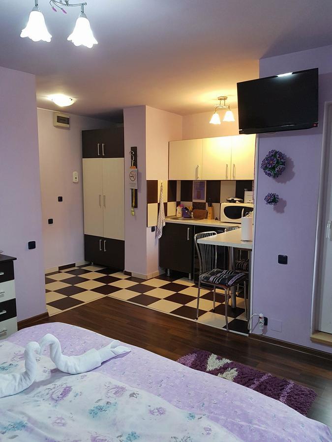 Apartmán Garsoniera Cristina Băile Felix Exteriér fotografie