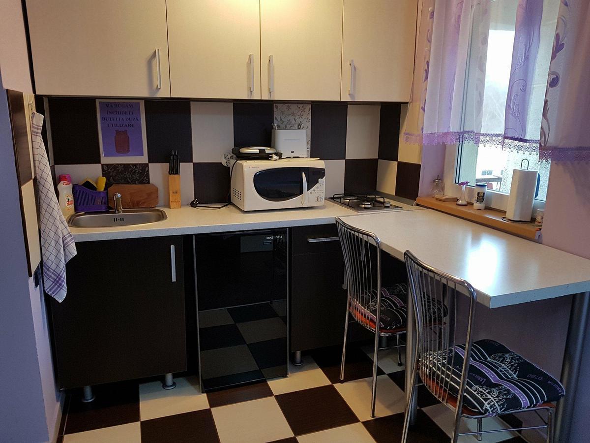 Apartmán Garsoniera Cristina Băile Felix Exteriér fotografie