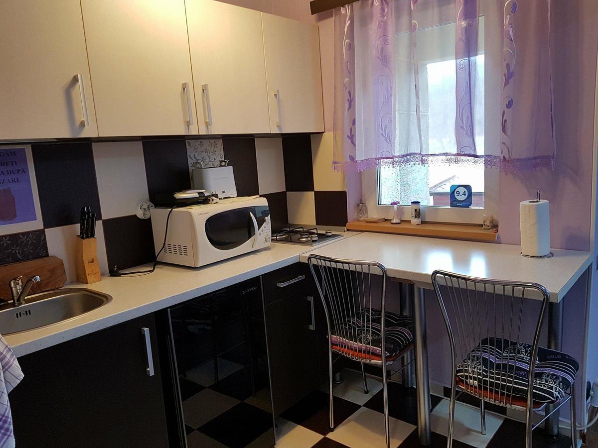 Apartmán Garsoniera Cristina Băile Felix Exteriér fotografie