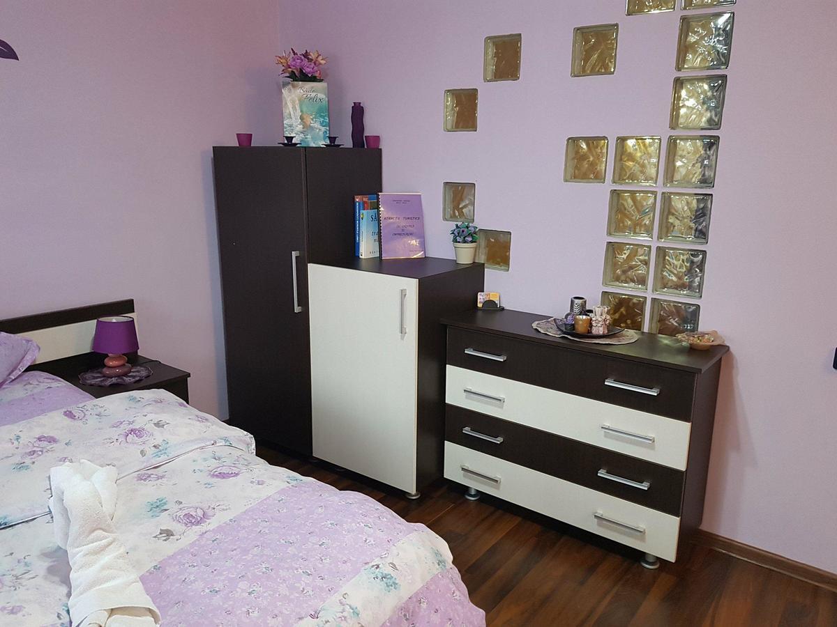 Apartmán Garsoniera Cristina Băile Felix Exteriér fotografie