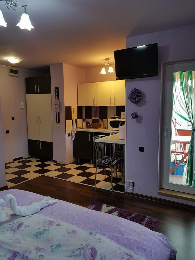 Apartmán Garsoniera Cristina Băile Felix Exteriér fotografie
