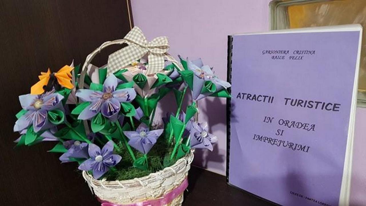 Apartmán Garsoniera Cristina Băile Felix Exteriér fotografie