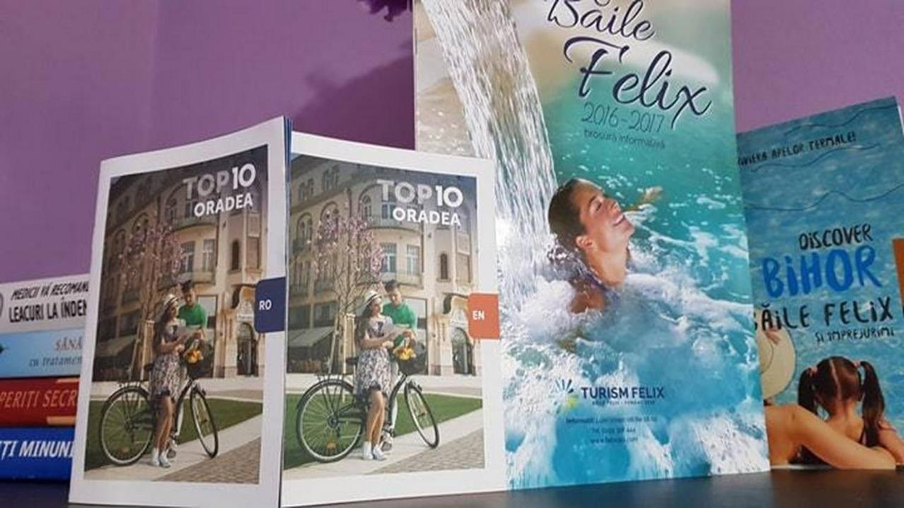 Apartmán Garsoniera Cristina Băile Felix Exteriér fotografie