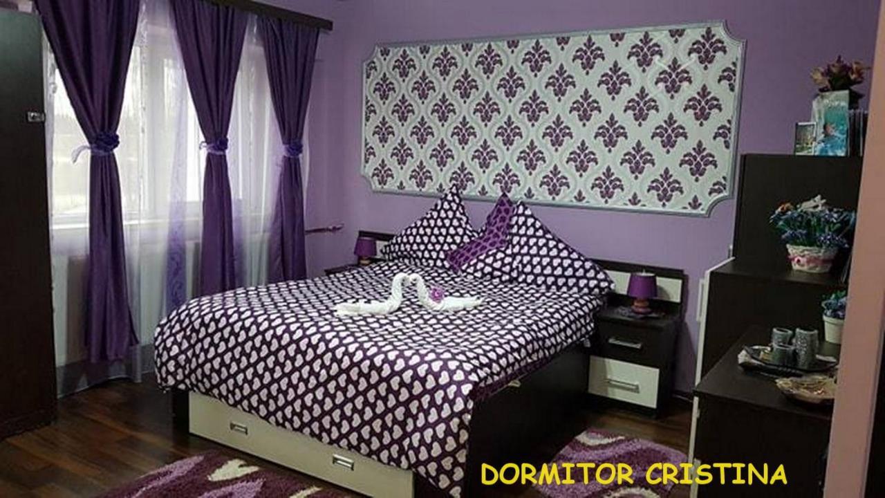 Apartmán Garsoniera Cristina Băile Felix Exteriér fotografie