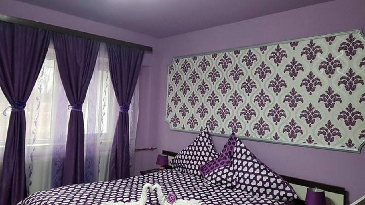 Apartmán Garsoniera Cristina Băile Felix Exteriér fotografie