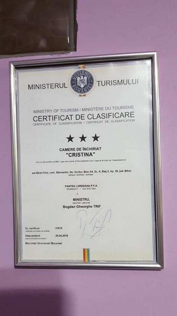 Apartmán Garsoniera Cristina Băile Felix Exteriér fotografie